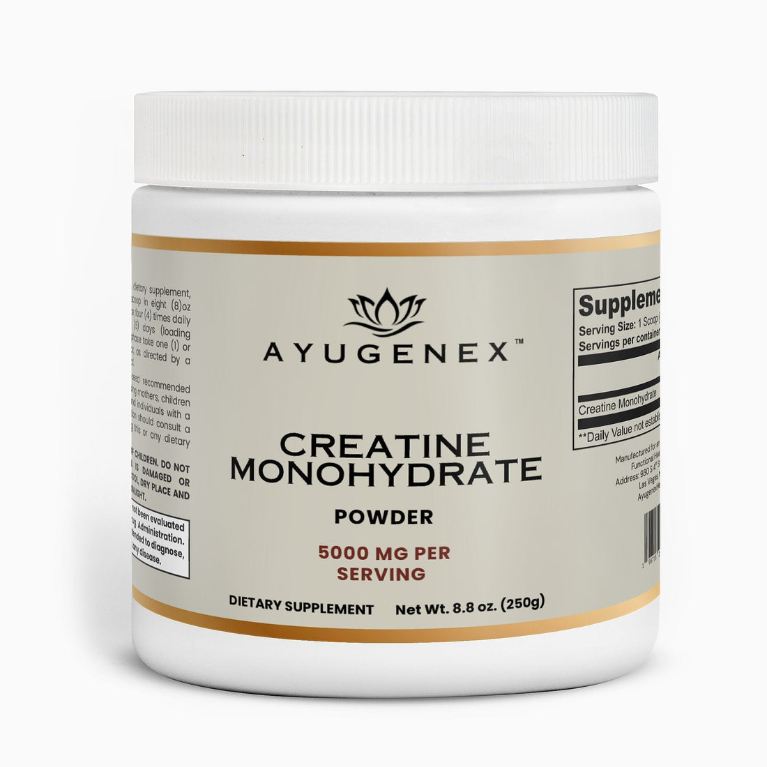 Beyond the Gym: Why Creatine Is the Ultimate Longevity Molecule