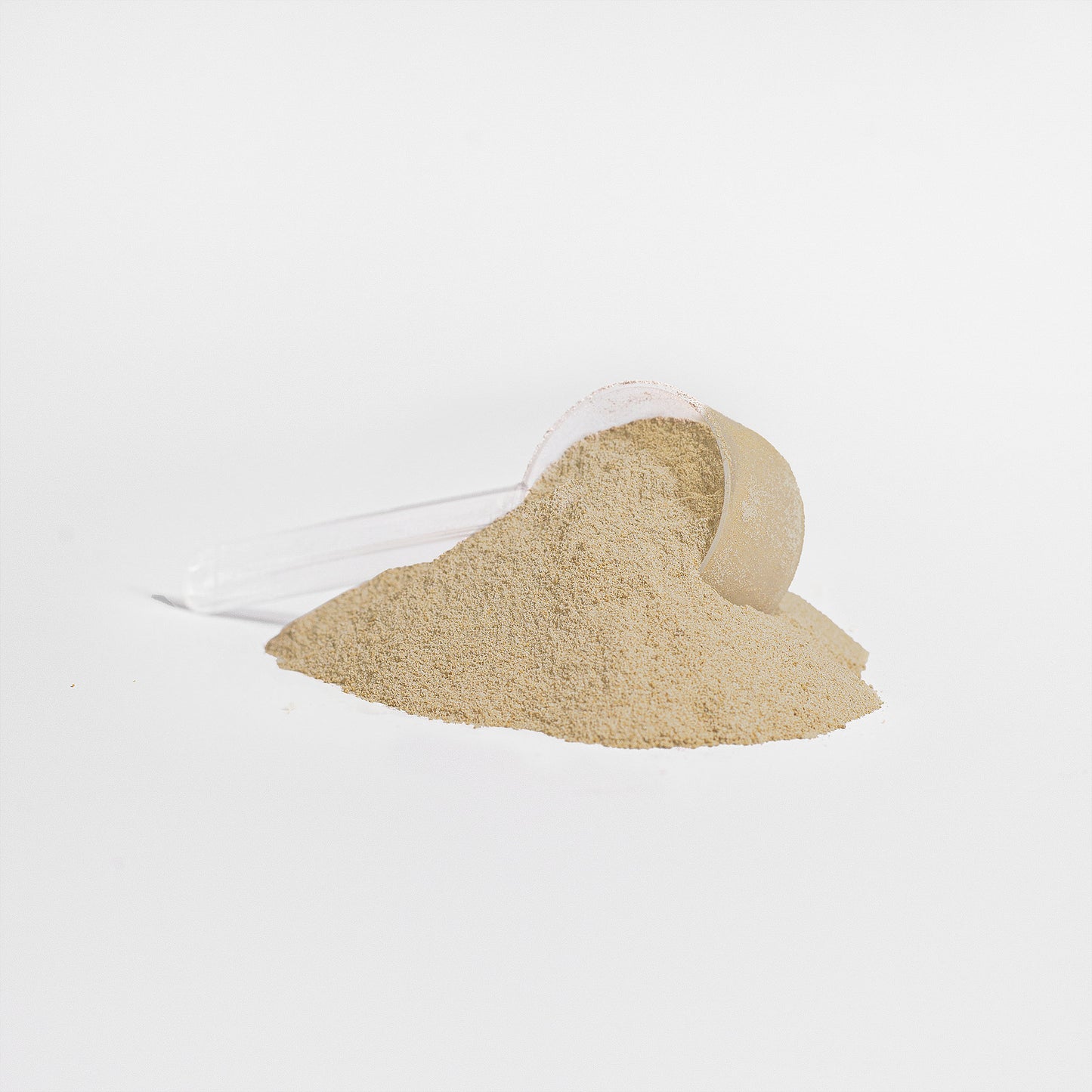 Low Carb 100% Whey Protein Isolate (Vanilla)