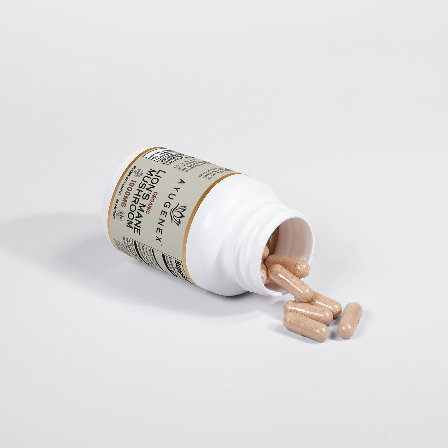 Organic Lion’s Mane Mushroom - 1