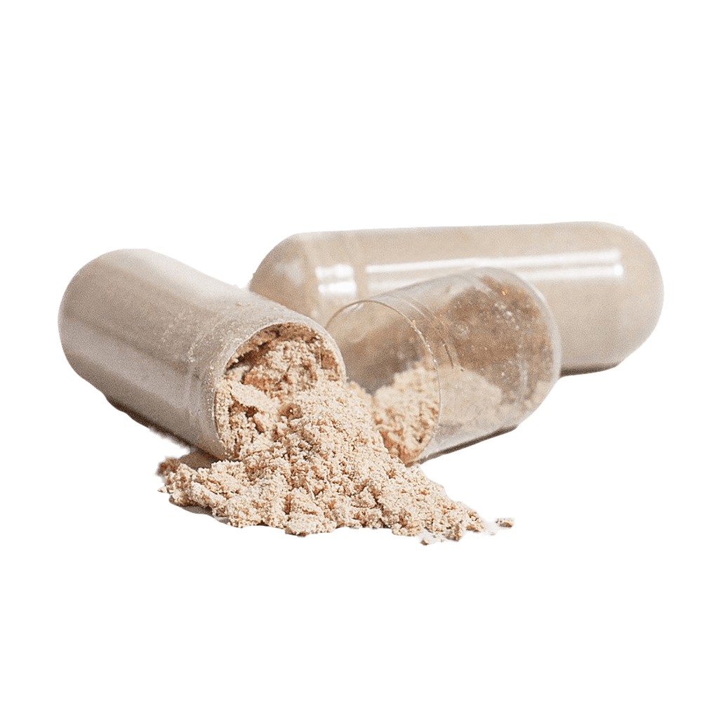 Organic Chaga Mushroom